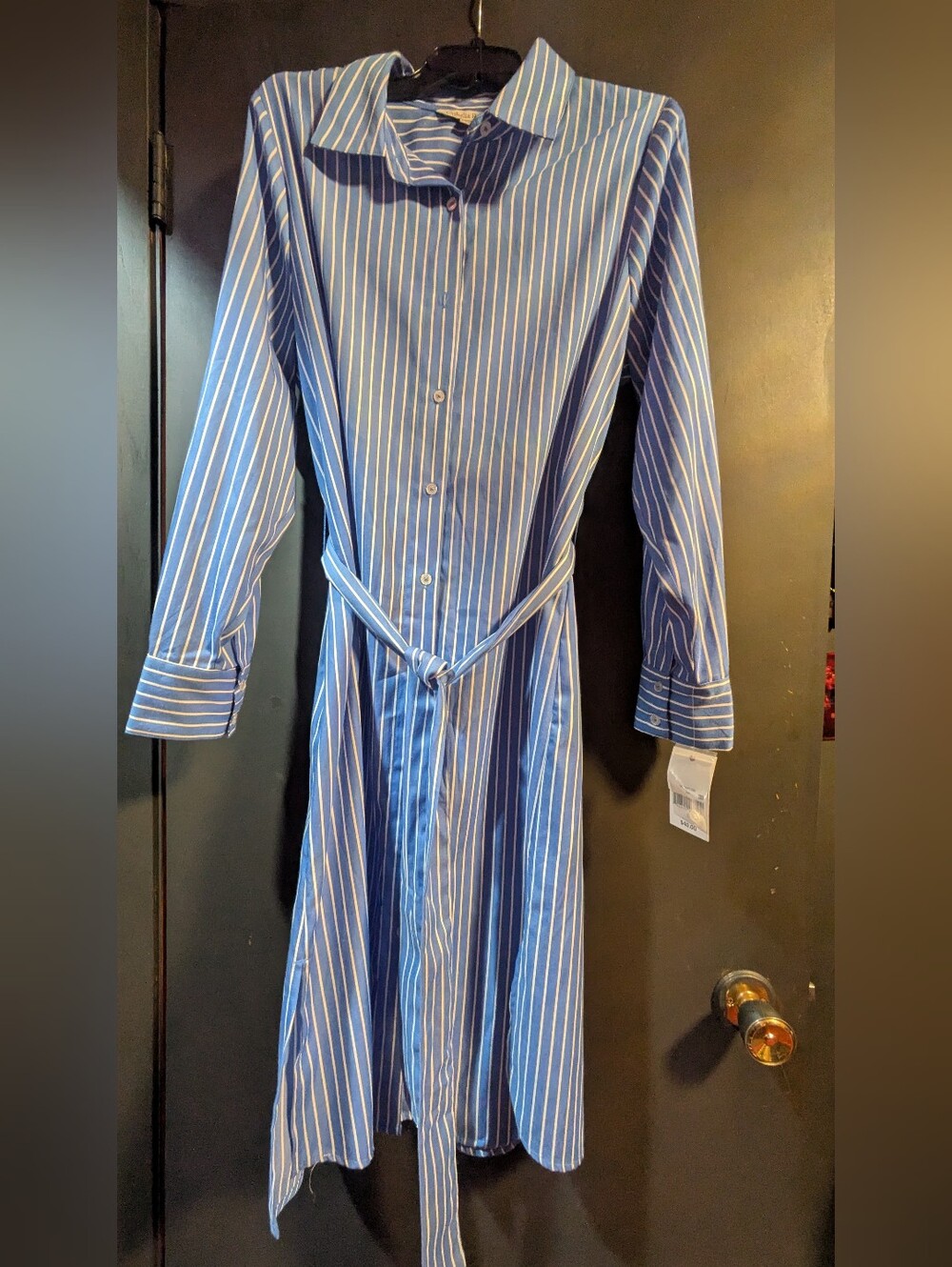 Blue Striped Shirt Dress with Belt
